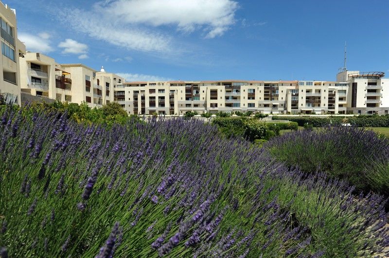 Residence Les Rivages De Rochelongue Montpellier Zewnętrze zdjęcie